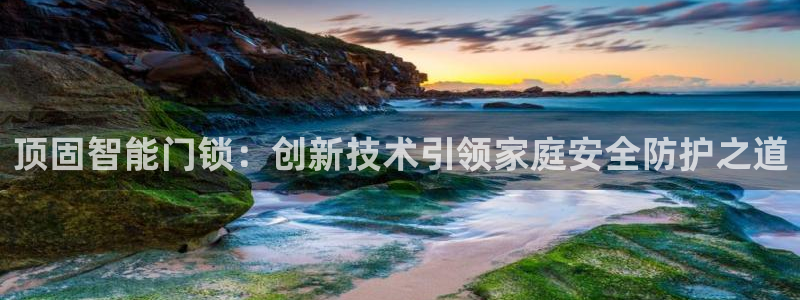 富联娱乐主管后原判官333OO：顶固智能门锁：创新技术引领家