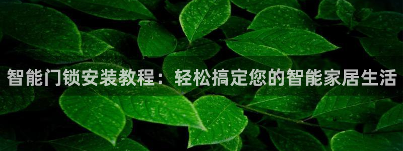 富联娱乐总裁简介资料大全：智能门锁安装教程：轻松搞定您的智能