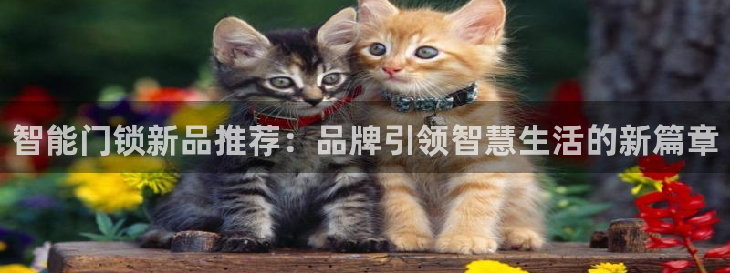 富联娱乐受究7276O：智能门锁新品推荐：品牌引领智慧生活的