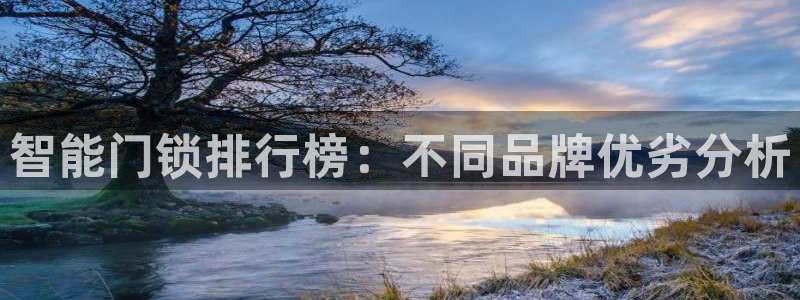 富联娱乐招商会判官333OO：智能门锁排行榜：不同品牌优劣分