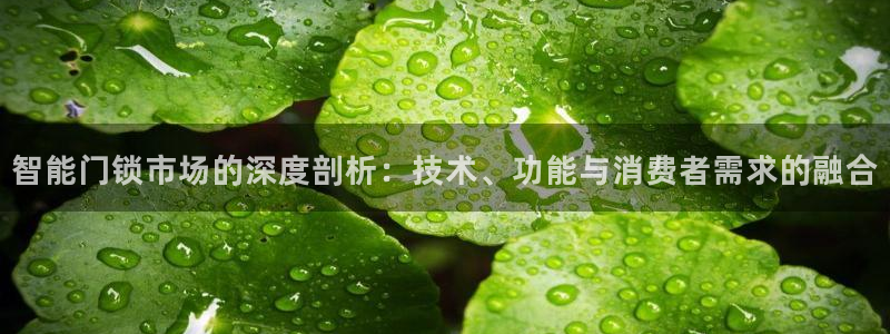 富联娱乐67五壹叁八：智能门锁市场的深度剖析：技术、功能与消