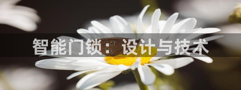 富联娱乐主管地判官333OO：智能门锁：设计与技术