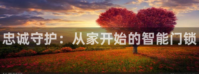 富联娱乐代理是谁做的呀：忠诚守护：从家开始的智能门锁