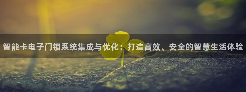 富联娱乐平台注册流程：智能卡电子门锁系统集成与优化：打造高效