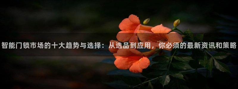 富联娱乐女团排名多少名：智能门锁市场的十大趋势与选择：从选品