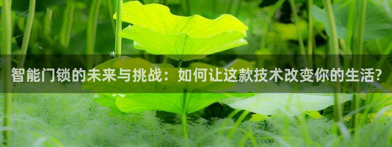 富联娱乐信誉怎么样：智能门锁的未来与挑战：如何让这款技术改变