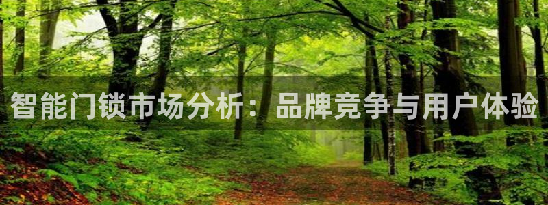 富联娱乐主营业务是什么：智能门锁市场分析：品牌竞争与用户体验