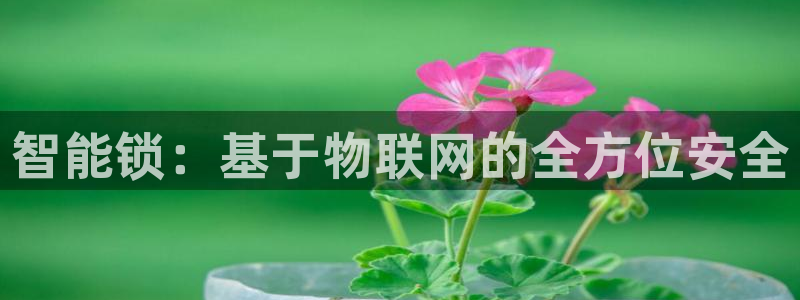 佰富联娱乐团购：智能锁：基于物联网的全方位安全