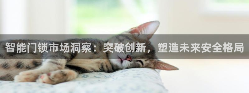 富联娱乐注册运唐老鸭779O3：智能门锁市场洞察：突破创新，