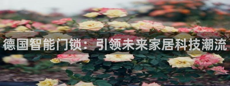 富联娱乐注册反判官333OO：德国智能门锁：引领未来家居科技