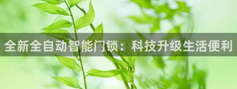 富联娱乐app更新不了：全新全自动智能门锁：科技升级生活便利