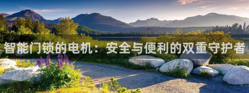 富联娱乐开户条件：智能门锁的电机：安全与便利的双重守护者