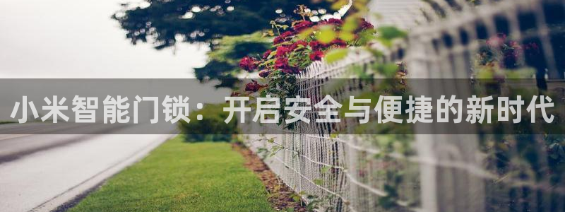 富联娱乐登录链接在哪：小米智能门锁：开启安全与便捷的新时代