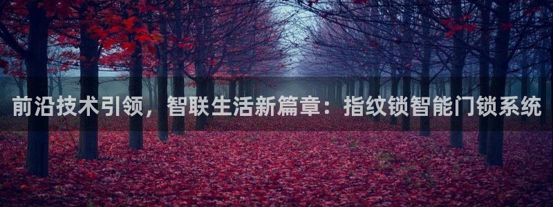 富联娱乐在线官网：前沿技术引领，智联生活新篇章：指纹锁智能门