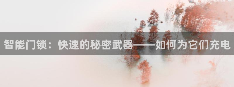 富联2娱乐平台注册不了：智能门锁：快速的秘密武器——如何为它