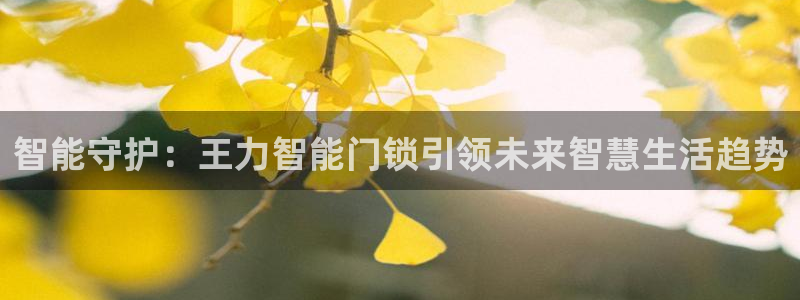 富联娱乐首页官网：智能守护：王力智能门锁引领未来智慧生活趋势