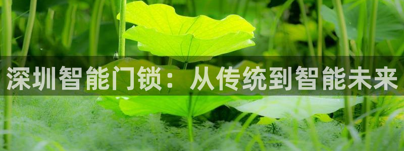 富联娱乐开户费用多少钱：深圳智能门锁：从传统到智能未来