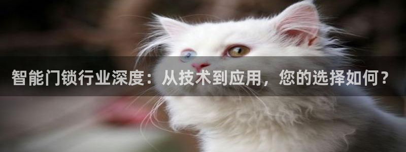 富联娱乐主管是谁：智能门锁行业深度：从技术到应用，您的选择如