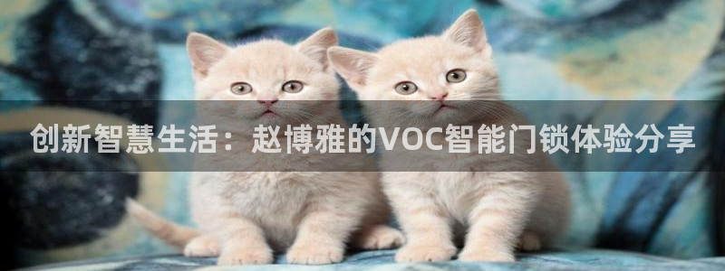 富联娱乐滴qv382223：创新智慧生活：赵博雅的VOC智能