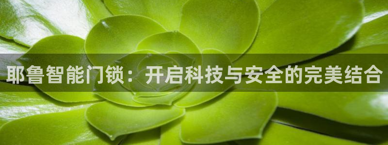 富联娱乐平台是什么公司：耶鲁智能门锁：开启科技与安全的完美结