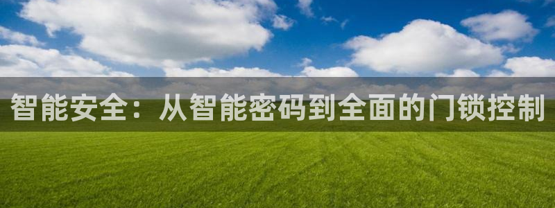 富联娱乐平台注册地址：智能安全：从智能密码到全面的门锁控制