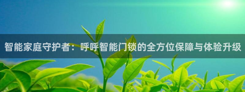 富联娱乐最新消息新闻：智能家庭守护者：呼呼智能门锁的全方位保