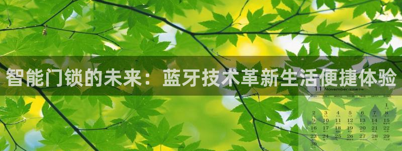 富联娱乐客户端怎么下载：智能门锁的未来：蓝牙技术革新生活便捷