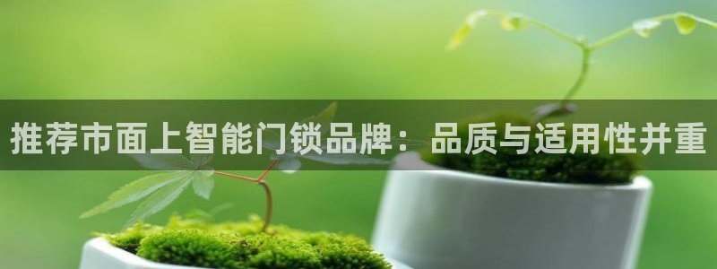 富联娱乐平台特点：推荐市面上智能门锁品牌：品质与适用性并重