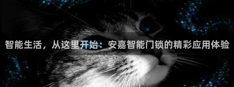 富联娱乐官网登录入口下载：智能生活，从这里开始：安嘉智能门锁