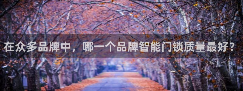 富联娱乐总代理是谁：在众多品牌中，哪一个品牌智能门锁质量最好