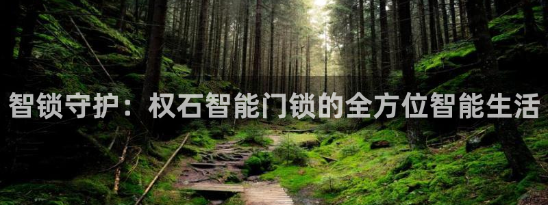 富联娱乐注册教判官333OO：智锁守护：权石智能门锁的全方位