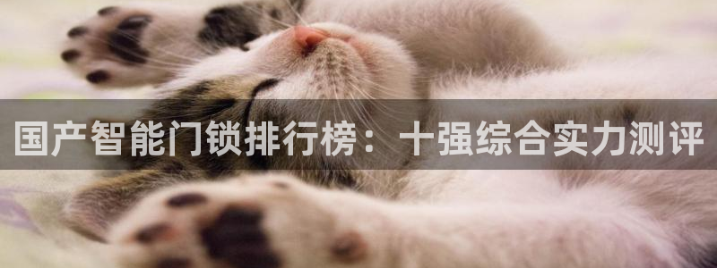 富联娱乐首页网站下载：国产智能门锁排行榜：十强综合实力测评