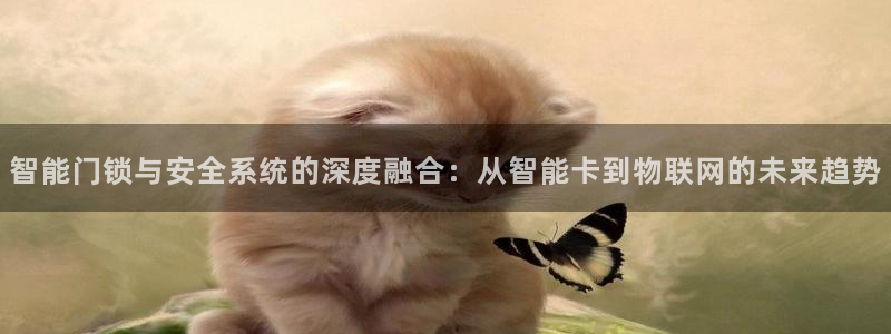 富联娱乐首页登录不了了：智能门锁与安全系统的深度融合：从智能