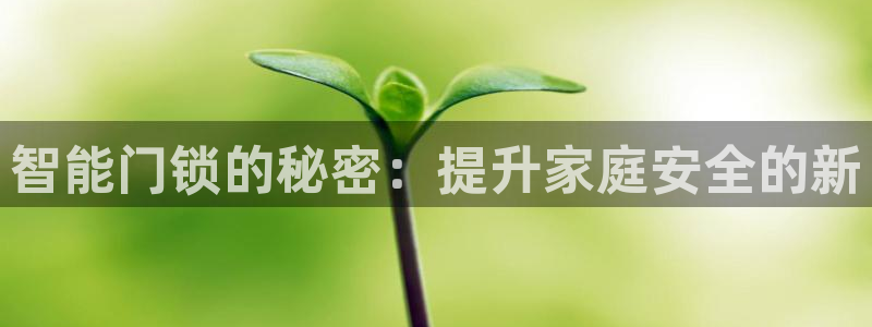富联娱乐官方网站下载手机版：智能门锁的秘密：提升家庭安全的新