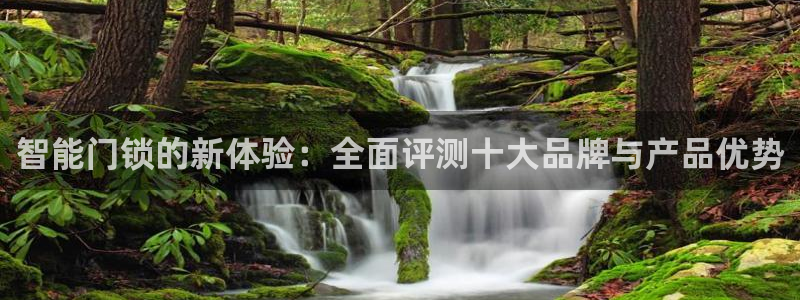 富联娱乐总代理是谁啊：智能门锁的新体验：全面评测十大品牌与产
