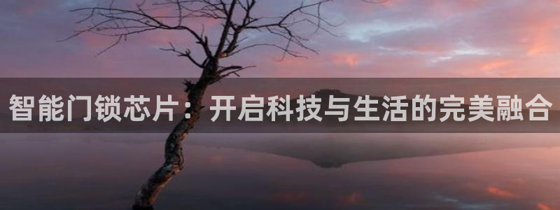 富联娱乐主管月原判官333OO：智能门锁芯片：开启科技与生活