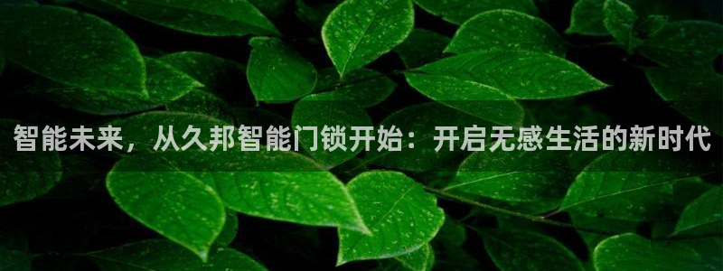 富联娱乐代理怎么样了：智能未来，从久邦智能门锁开始：开启无感