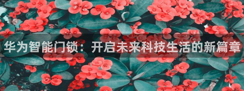 富联娱乐注册的判官333OO：华为智能门锁：开启未来科技生活