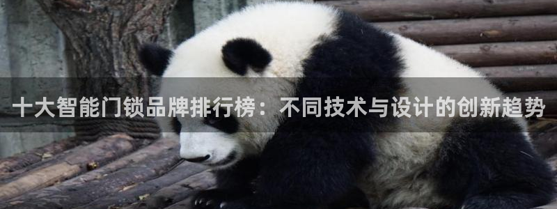 富联娱乐是真的吗：十大智能门锁品牌排行榜：不同技术与设计的创