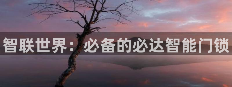 富联2娱乐：智联世界：必备的必达智能门锁