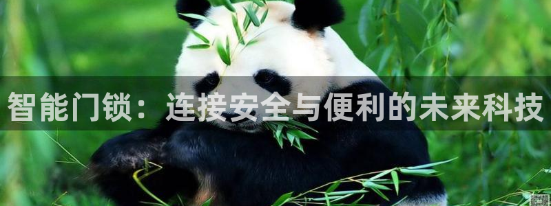 富联娱乐卜67OO6：智能门锁：连接安全与便利的未来科技