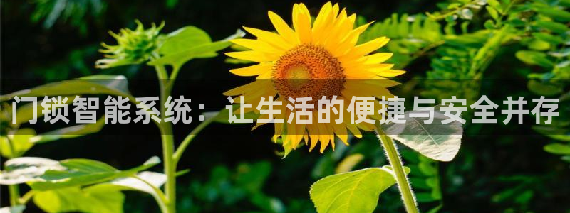 富联娱乐资讯官网：门锁智能系统：让生活的便捷与安全并存