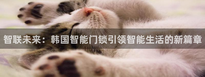 佰富联娱乐团购：智联未来：韩国智能门锁引领智能生活的新篇章