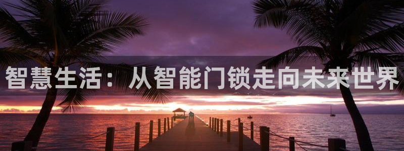 富联娱乐q：智慧生活：从智能门锁走向未来世界