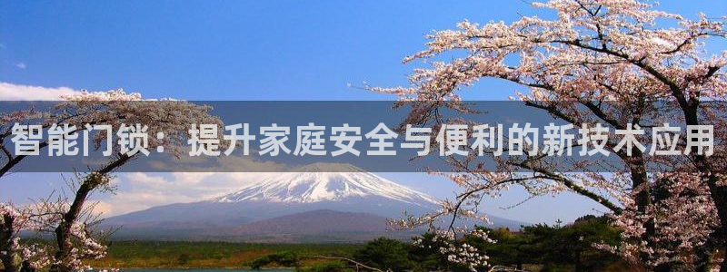 富联娱乐app更新：智能门锁：提升家庭安全与便利的新技术应用