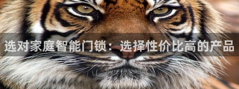 富联娱乐注册21192：选对家庭智能门锁：选择性价比高的产品
