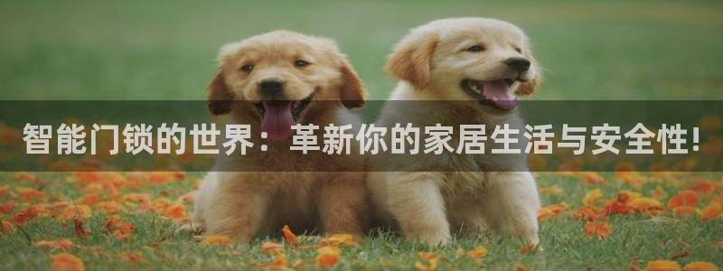 富联娱乐贴吧官网首页：智能门锁的世界：革新你的家居生活与安全