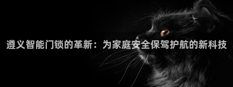 富联娱乐平台登录不上去：遵义智能门锁的革新：为家庭安全保驾护