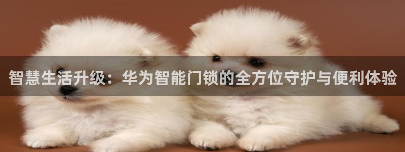 联富花园团购休闲娱乐：智慧生活升级：华为智能门锁的全方位守护