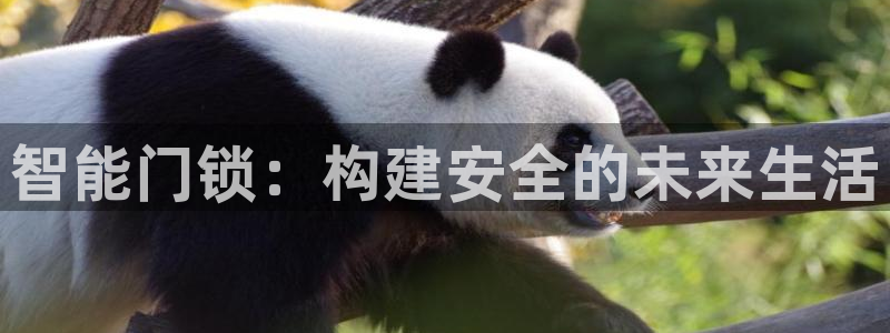 富联娱乐招商认判官333OO：智能门锁：构建安全的未来生活